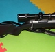 Steyr2