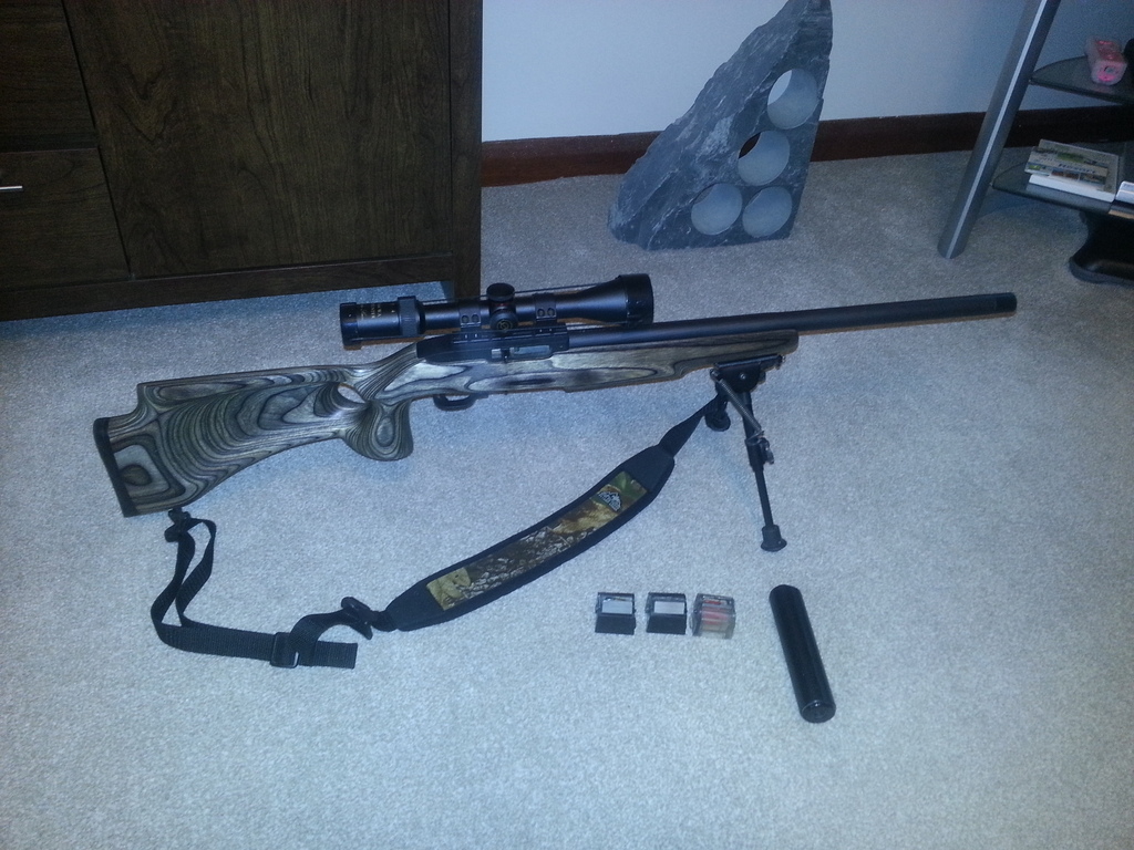 Ruger , 10/22, .22 LR, Used - Excellent Condition, Semi-Automatic ...