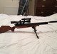 Side_view_rifle_1