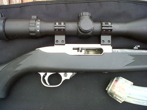 Ruger%2010