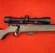 Savage_17hmr_02