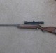 Airrifle2