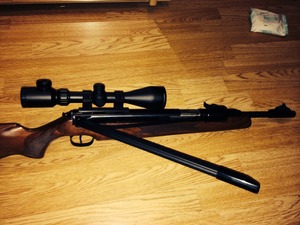 Diana Model 52, Spring Air Rifle Reviews