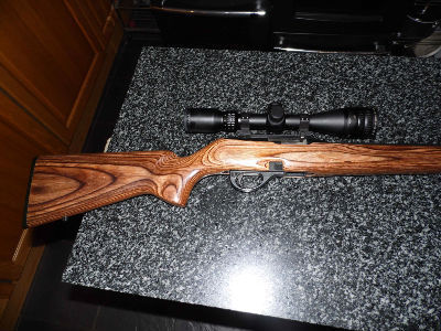 Remington , 597 Laminate, .22 Lr, Used - Excellent Condition, Semi 