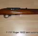 F1707_ruger_10-22_p1