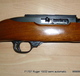 F1707_ruger_10-22_p2