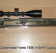 F1745_howa_customised_p1