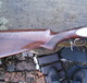 Beretta_pump_n_rizzini_005