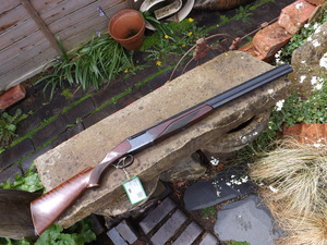 Sunday_ou_pics_rifle_013