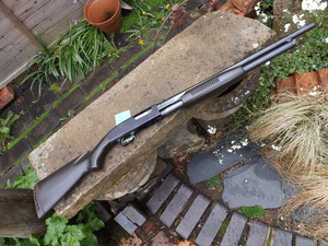 Sunday_ou_pics_rifle_004