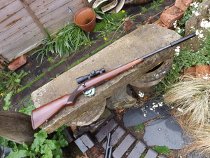 Sunday_ou_pics_rifle_001