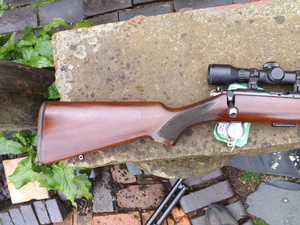 Sunday_ou_pics_rifle_002