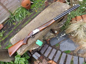 Sunday_ou_pics_rifle_007