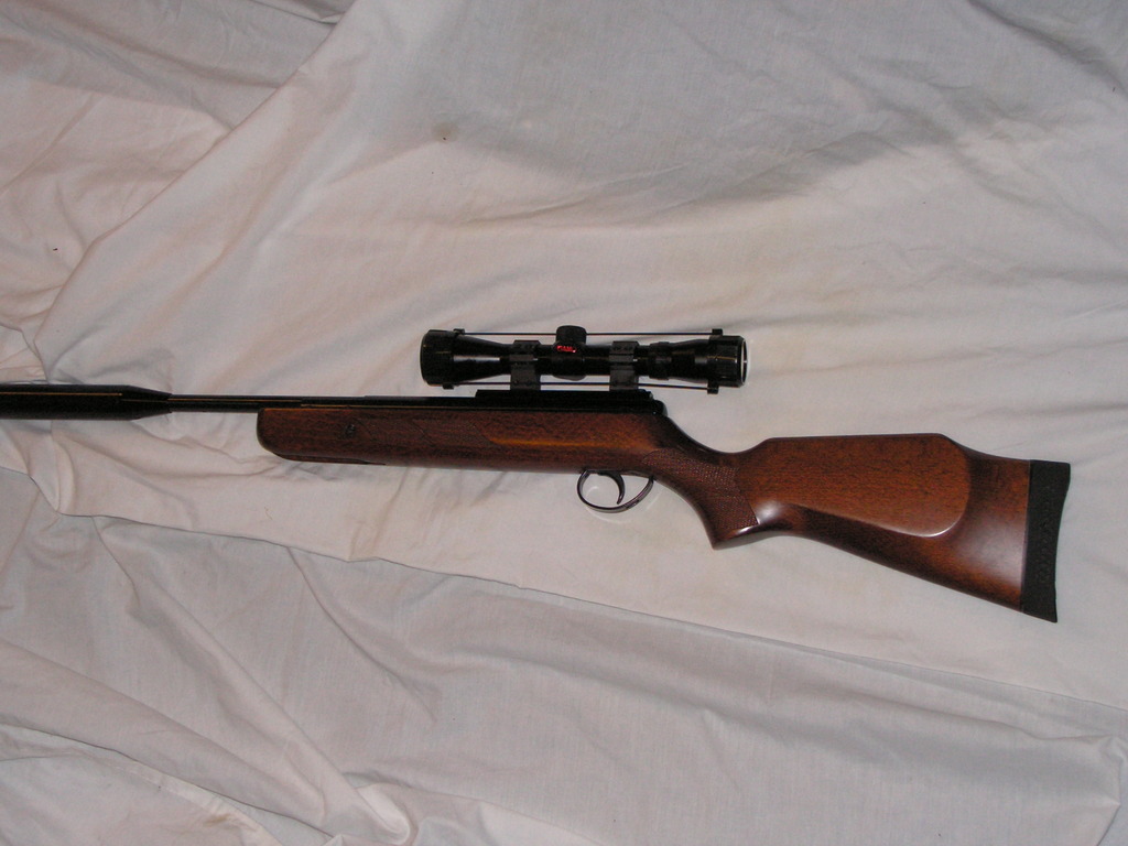 BSA, Lightning, .22, New, Break Barrel, Air Rifle from Northallerton ...