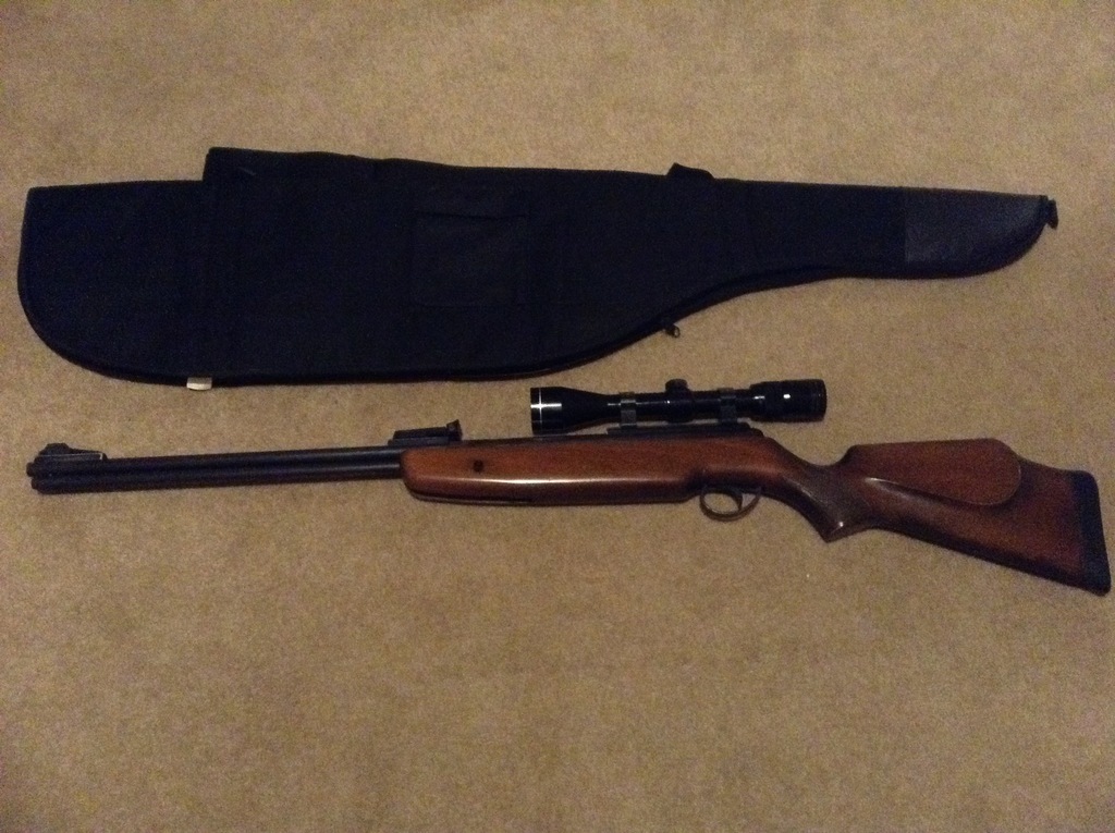 BSA Goldstar .22 - Guns for Sale (Private Sales) - Pigeon Watch Forums