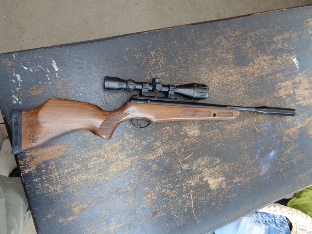 BSA, lightning se, .22, Used - Mint Condition, Break Barrel, Air Rifle from  carlisle, Cumbria New and Used Guns for Sale