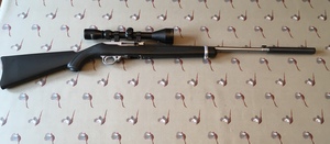 Ruger_22_lr_rifle