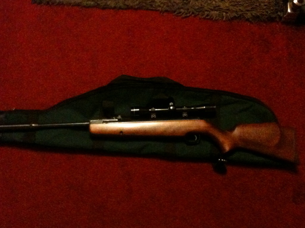 Webley, Xocet xs, .22, Used - Average Condition, Break Barrel, Air ...