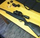 Stoeger%20airgun%202