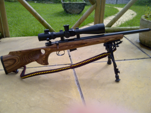 17hmr