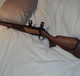 Sauer1