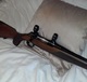 Sauer2